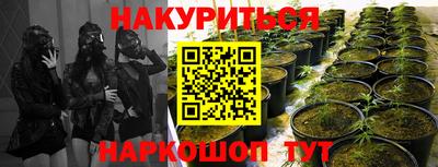 прущие грибы Тверь