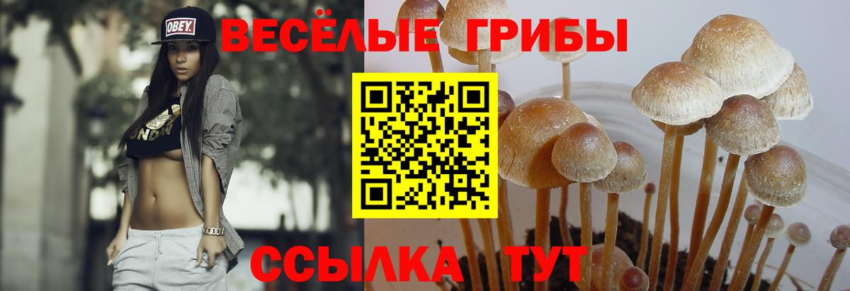 Галлюциногенные грибы Magic Shrooms  Вход с VPN  Батайск  Псилоцибиновые грибы MAGIC MUSHROOMS 